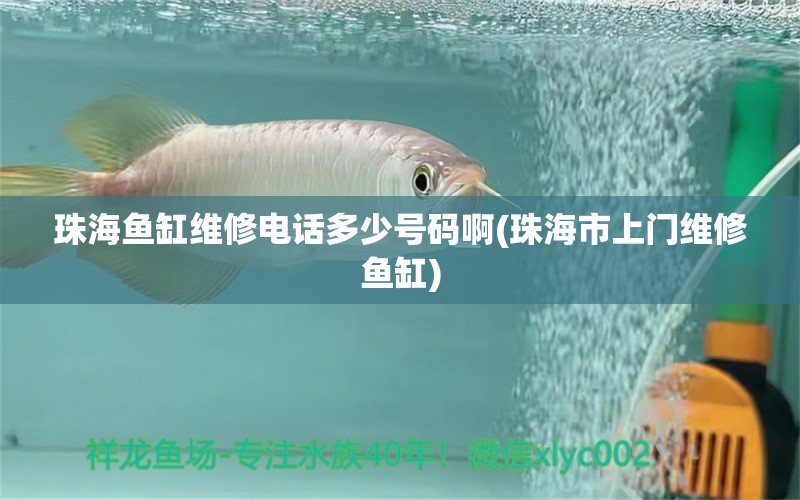 珠海鱼缸维修电话多少号码啊(珠海市上门维修鱼缸)