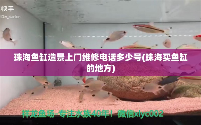 珠海鱼缸造景上门维修电话多少号(珠海买鱼缸的地方) 祥龙赫舞红龙鱼 第1张