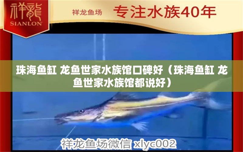 珠海鱼缸 龙鱼世家水族馆口碑好（珠海鱼缸 龙鱼世家水族馆都说好）