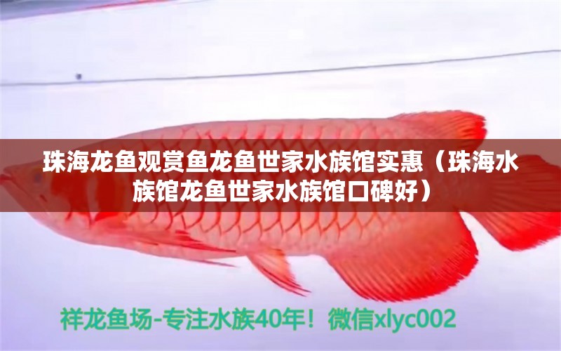 珠海龙鱼观赏鱼龙鱼世家水族馆实惠（珠海水族馆龙鱼世家水族馆口碑好）