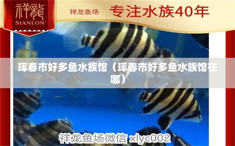 珲春市好多鱼水族馆（珲春市好多鱼水族馆在哪）