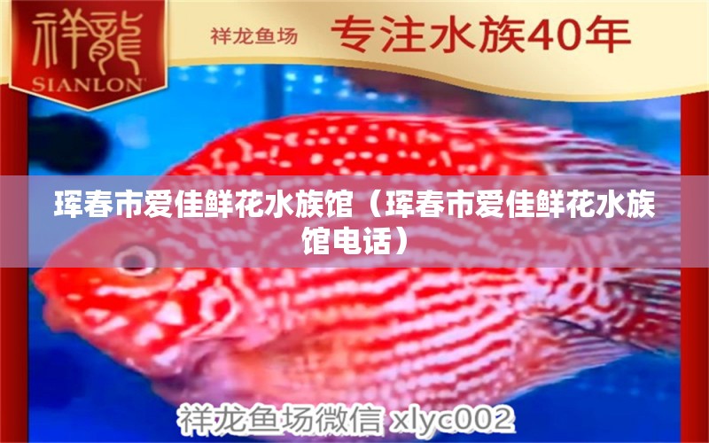 珲春市爱佳鲜花水族馆（珲春市爱佳鲜花水族馆电话） 全国水族馆企业名录