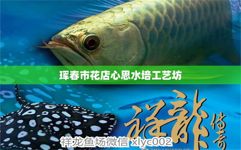 珲春市花店心思水培工艺坊 全国水族馆企业名录