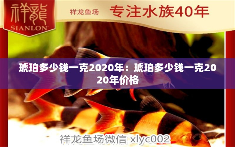 琥珀多少钱一克2020年：琥珀多少钱一克2020年价格