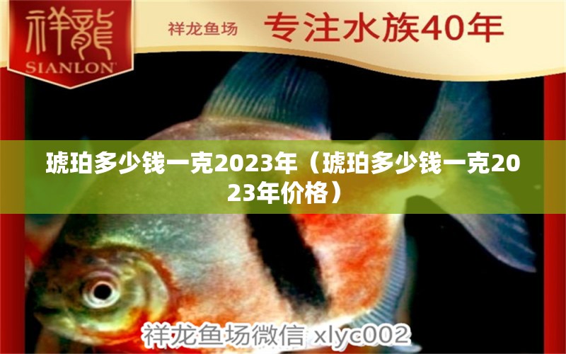 琥珀多少钱一克2023年（琥珀多少钱一克2023年价格）