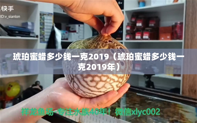 琥珀蜜蜡多少钱一克2019（琥珀蜜蜡多少钱一克2019年）