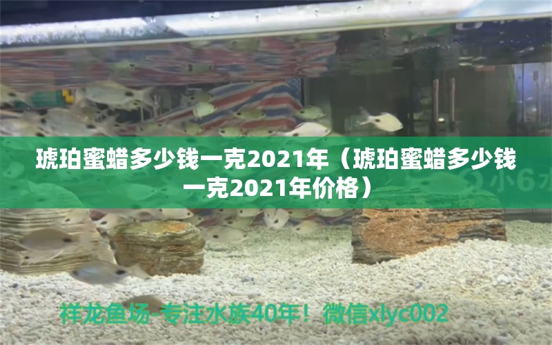 琥珀蜜蜡多少钱一克2021年（琥珀蜜蜡多少钱一克2021年价格） 文玩