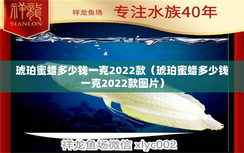 琥珀蜜蜡多少钱一克2022款（琥珀蜜蜡多少钱一克2022款图片）