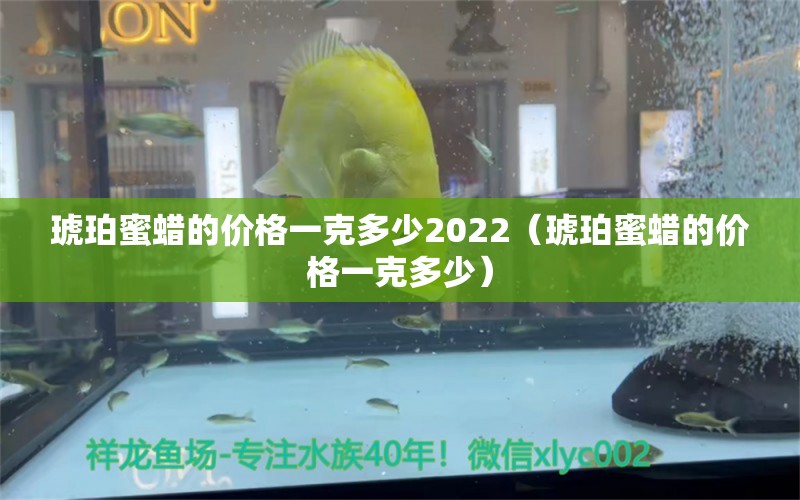 琥珀蜜蜡的价格一克多少2022（琥珀蜜蜡的价格一克多少） 文玩