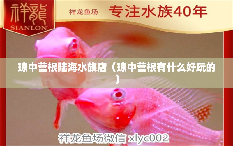 琼中营根陆海水族店（琼中营根有什么好玩的） 全国水族馆企业名录