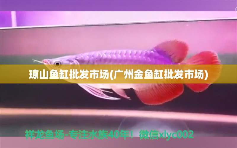 琼山鱼缸批发市场(广州金鱼缸批发市场) 祥龙水族滤材/器材 第1张