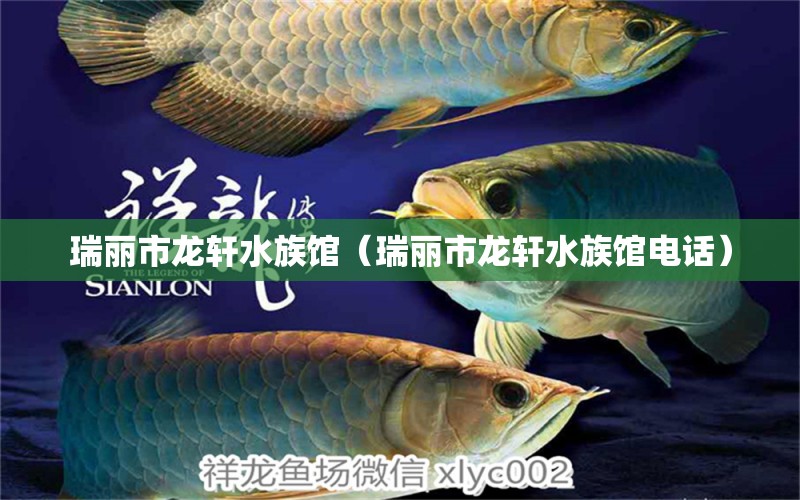 瑞丽市龙轩水族馆（瑞丽市龙轩水族馆电话）