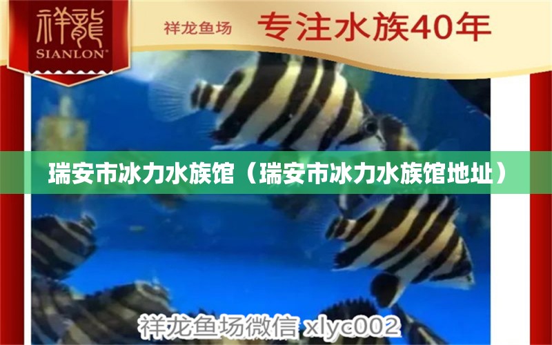 瑞安市冰力水族馆（瑞安市冰力水族馆地址）