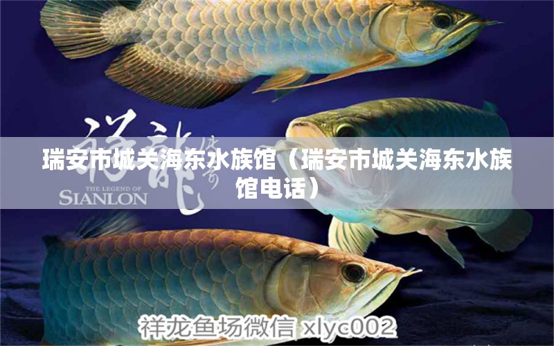 瑞安市城关海东水族馆（瑞安市城关海东水族馆电话） 全国水族馆企业名录