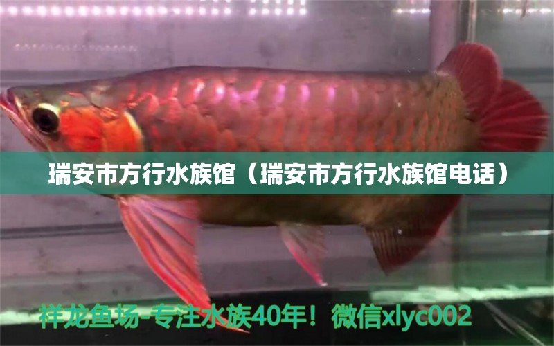 瑞安市方行水族馆（瑞安市方行水族馆电话） 全国水族馆企业名录