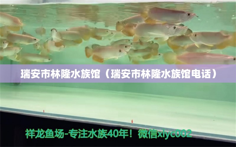 瑞安市林隆水族馆（瑞安市林隆水族馆电话）