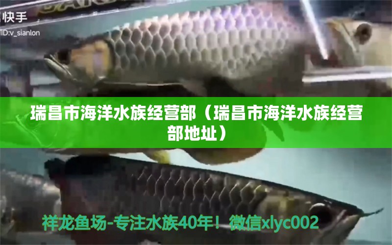 瑞昌市海洋水族经营部（瑞昌市海洋水族经营部地址） 全国水族馆企业名录