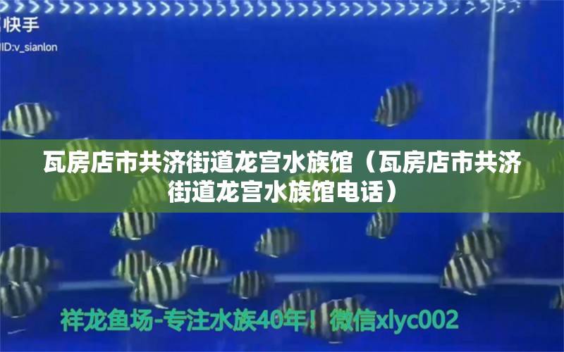 瓦房店市共济街道龙宫水族馆（瓦房店市共济街道龙宫水族馆电话） 全国水族馆企业名录