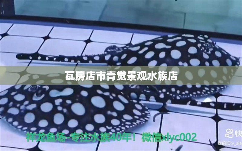 瓦房店市青觉景观水族店 全国水族馆企业名录