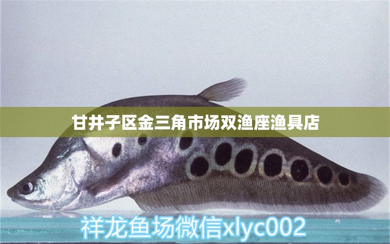 甘井子区金三角市场双渔座渔具店 全国水族馆企业名录