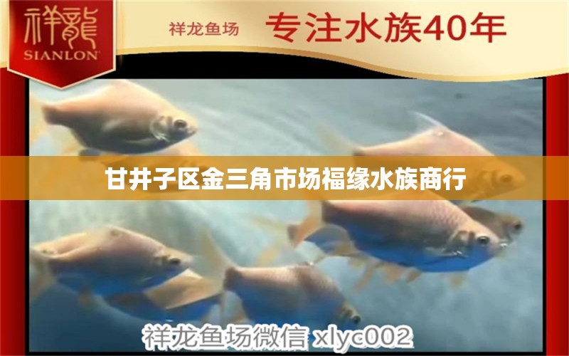 甘井子区金三角市场福缘水族商行