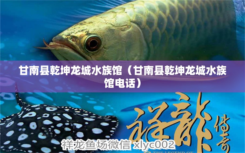 甘南县乾坤龙城水族馆（甘南县乾坤龙城水族馆电话） 全国水族馆企业名录