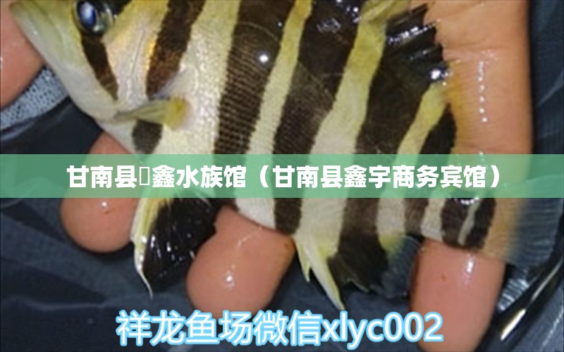 甘南县燚鑫水族馆（甘南县鑫宇商务宾馆）