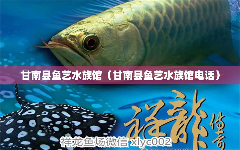 甘南县鱼艺水族馆（甘南县鱼艺水族馆电话）