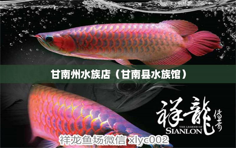 甘南州水族店（甘南县水族馆） 观赏鱼市场