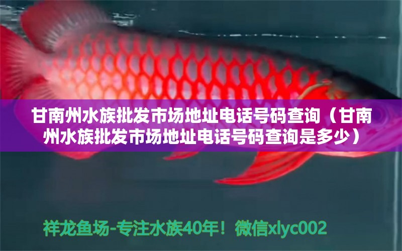 甘南州水族批发市场地址电话号码查询（甘南州水族批发市场地址电话号码查询是多少）