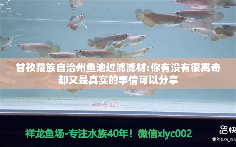 甘孜藏族自治州鱼池过滤滤材:你有没有很离奇却又是真实的事情可以分享 广州水族器材滤材批发市场