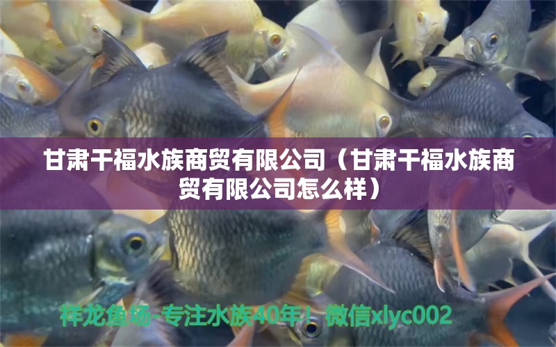 甘肃干福水族商贸有限公司（甘肃干福水族商贸有限公司怎么样）