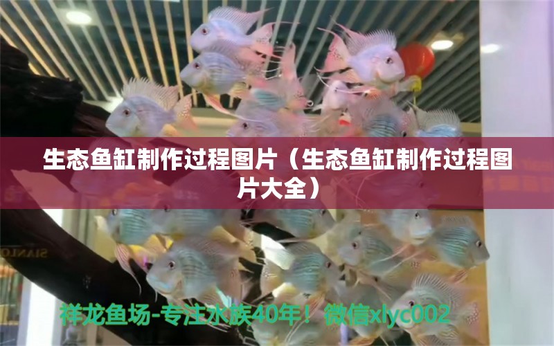 生态鱼缸制作过程图片（生态鱼缸制作过程图片大全） 祥龙水族医院