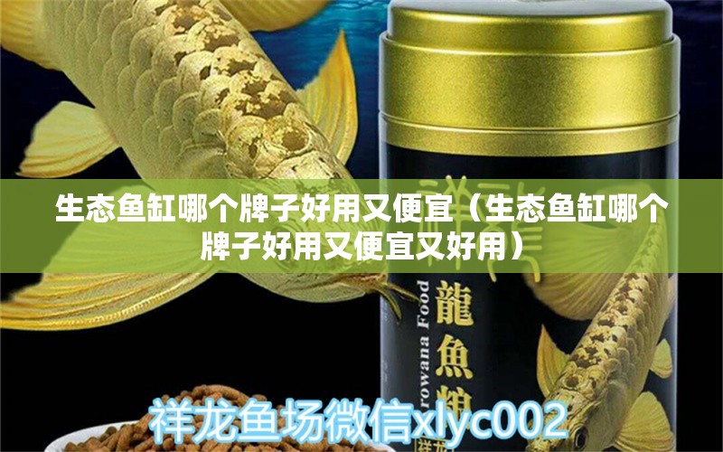 生态鱼缸哪个牌子好用又便宜（生态鱼缸哪个牌子好用又便宜又好用）