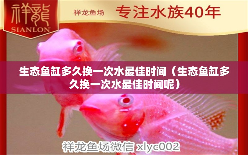 生态鱼缸多久换一次水最佳时间（生态鱼缸多久换一次水最佳时间呢） 祥龙水族医院