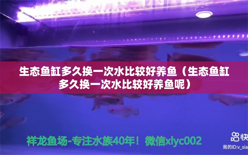 生态鱼缸多久换一次水比较好养鱼（生态鱼缸多久换一次水比较好养鱼呢） 大嘴鲸鱼