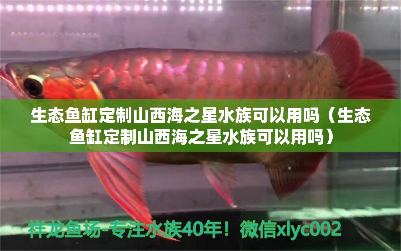 生态鱼缸定制山西海之星水族可以用吗（生态鱼缸定制山西海之星水族可以用吗）