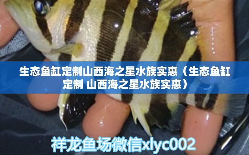 生态鱼缸定制山西海之星水族实惠（生态鱼缸定制 山西海之星水族实惠）