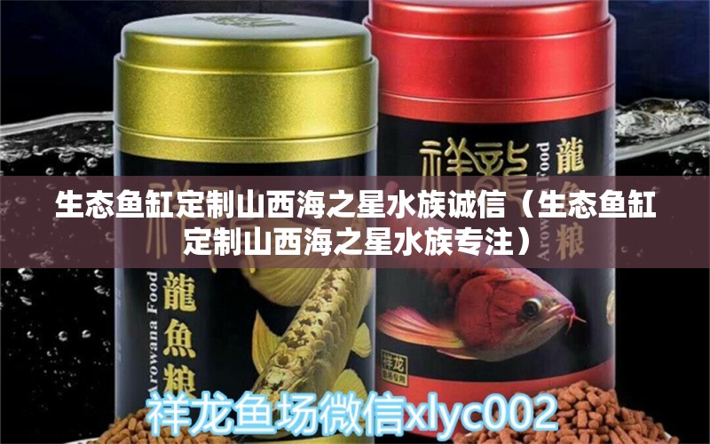 生态鱼缸定制山西海之星水族诚信（生态鱼缸定制山西海之星水族专注） 观赏鱼市场（混养鱼）