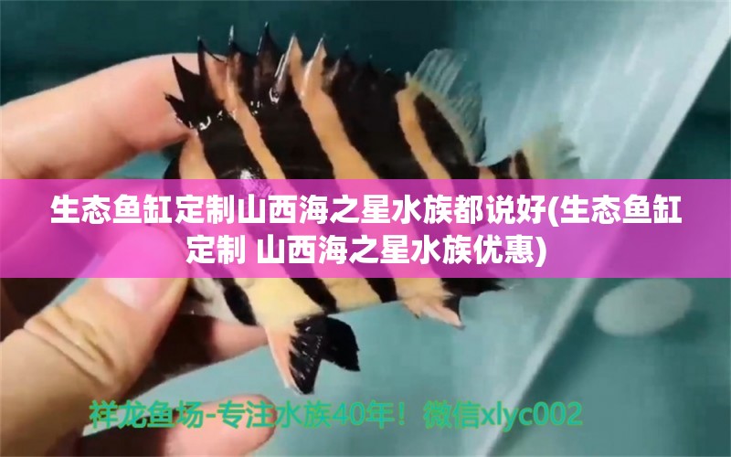 生态鱼缸定制山西海之星水族都说好(生态鱼缸定制 山西海之星水族优惠) 观赏鱼疾病