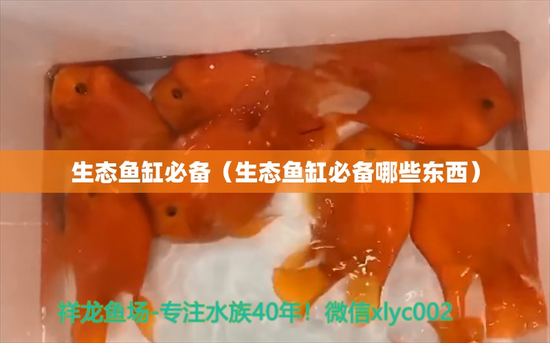 生态鱼缸必备（生态鱼缸必备哪些东西）