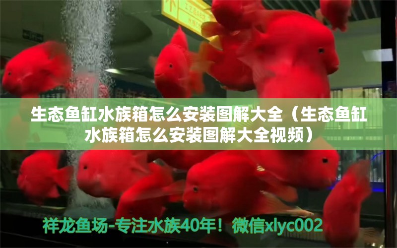 生态鱼缸水族箱怎么安装图解大全（生态鱼缸水族箱怎么安装图解大全视频）