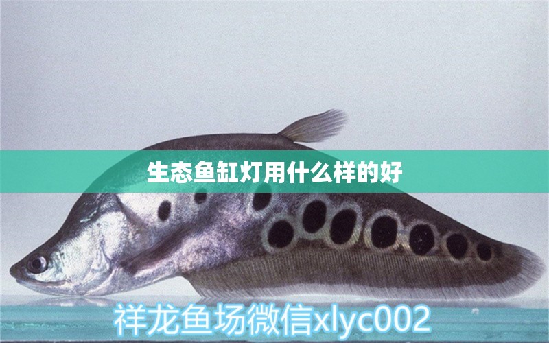 生态鱼缸灯用什么样的好 水族问答 第1张