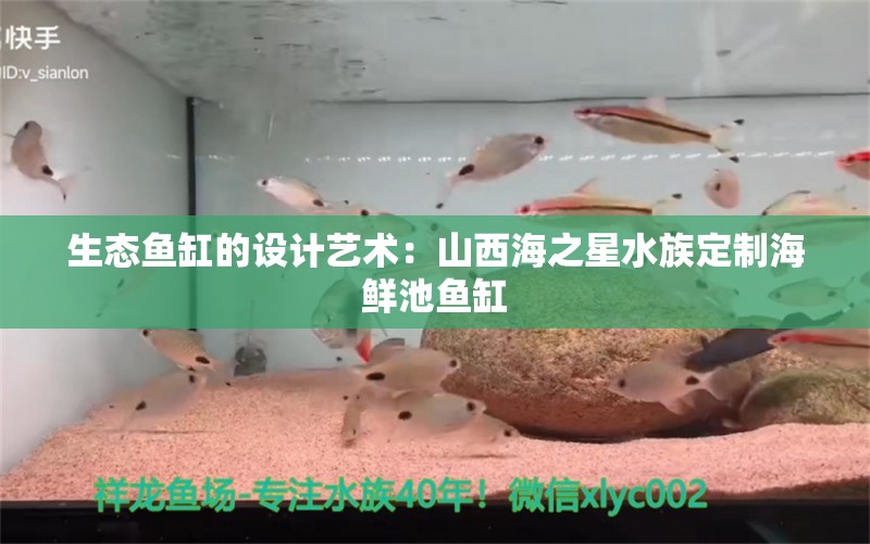 生态鱼缸的设计艺术：山西海之星水族定制海鲜池鱼缸 鱼缸百科 第2张