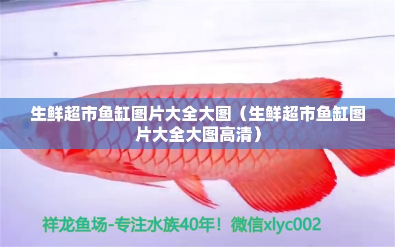 生鲜超市鱼缸图片大全大图（生鲜超市鱼缸图片大全大图高清） 祥龙水族医院