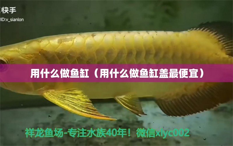 用什么做鱼缸（用什么做鱼缸盖最便宜）