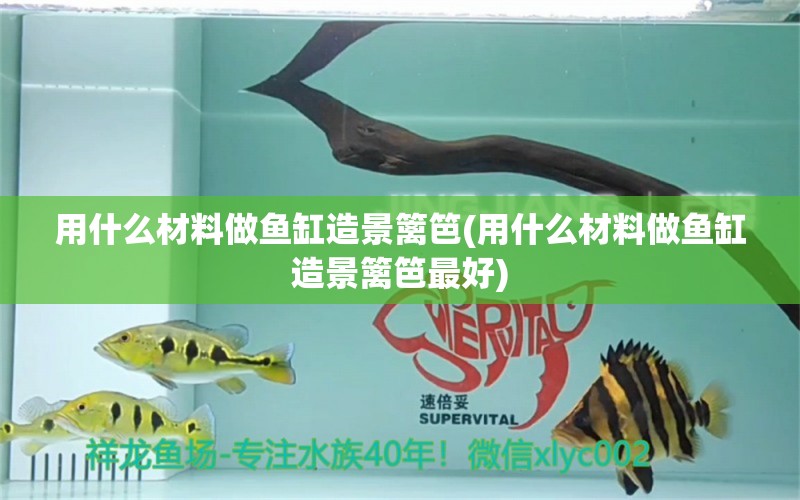 用什么材料做鱼缸造景篱笆(用什么材料做鱼缸造景篱笆最好) 月光鸭嘴鱼苗