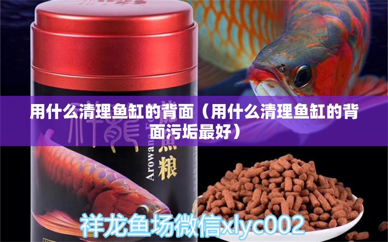 用什么清理鱼缸的背面（用什么清理鱼缸的背面污垢最好）