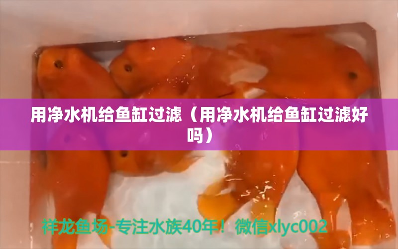 用净水机给鱼缸过滤（用净水机给鱼缸过滤好吗）