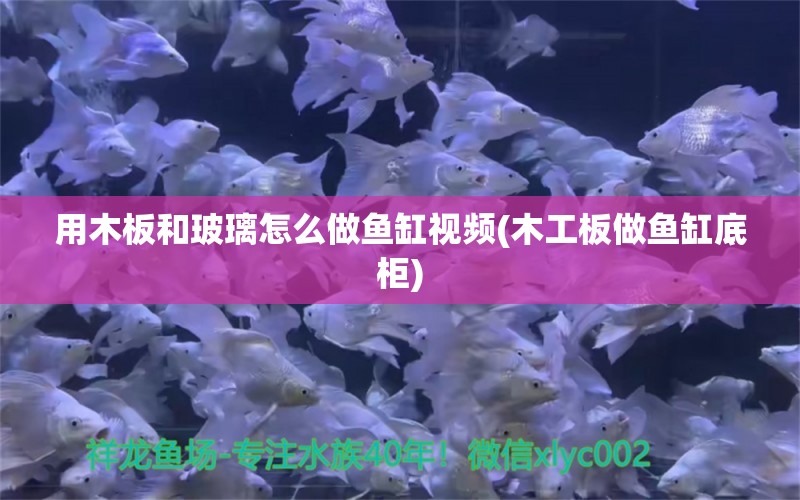 用木板和玻璃怎么做鱼缸视频(木工板做鱼缸底柜)